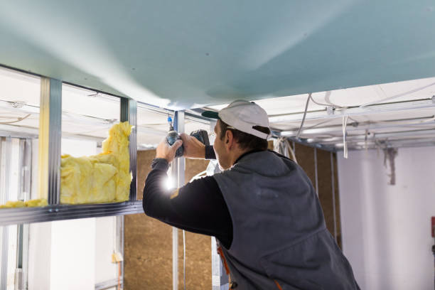 Best Specialized Insulation Services in Tome, NM